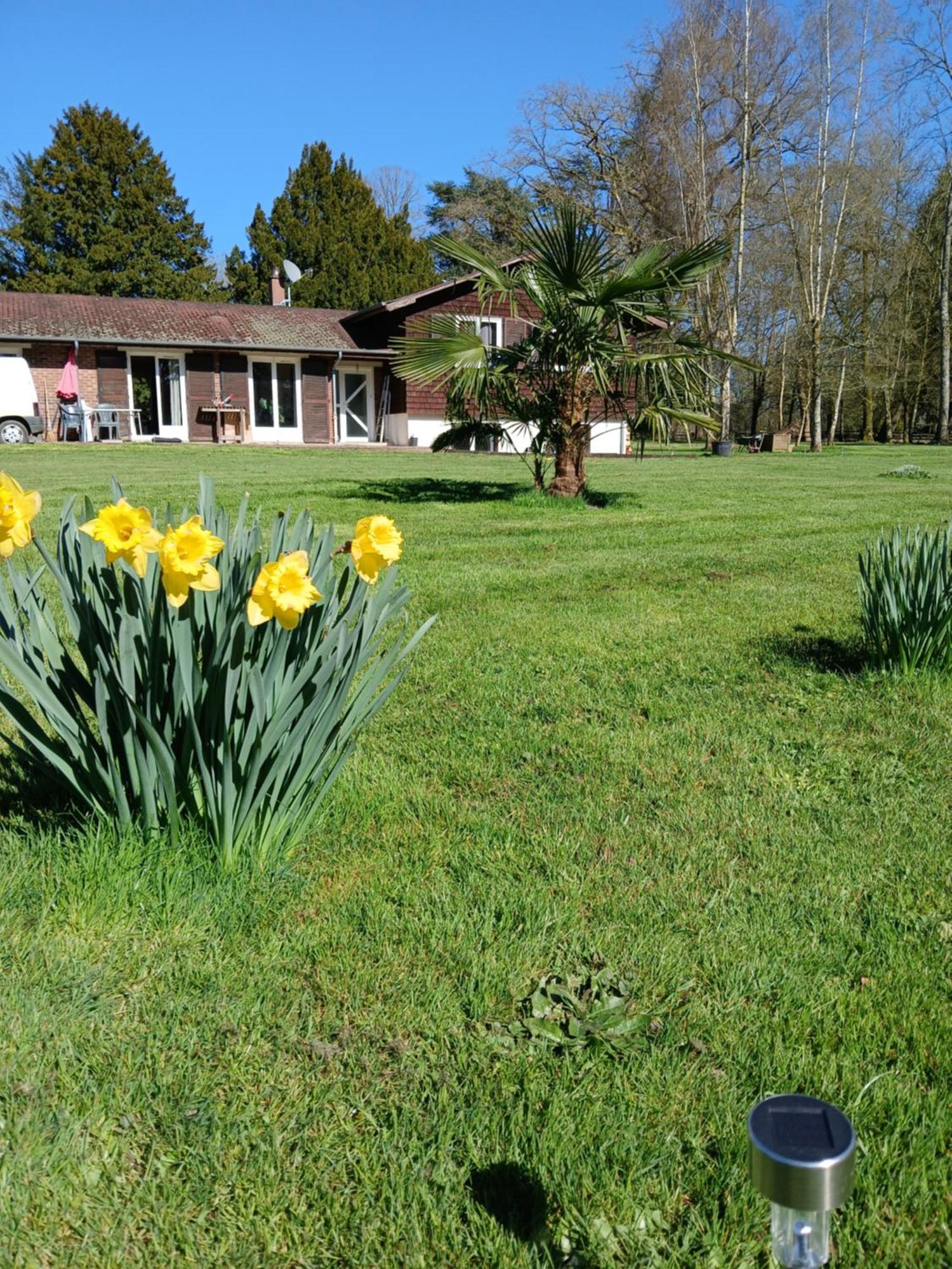 Bed and Breakfast Domaine Des Ifs Le Pin  Экстерьер фото