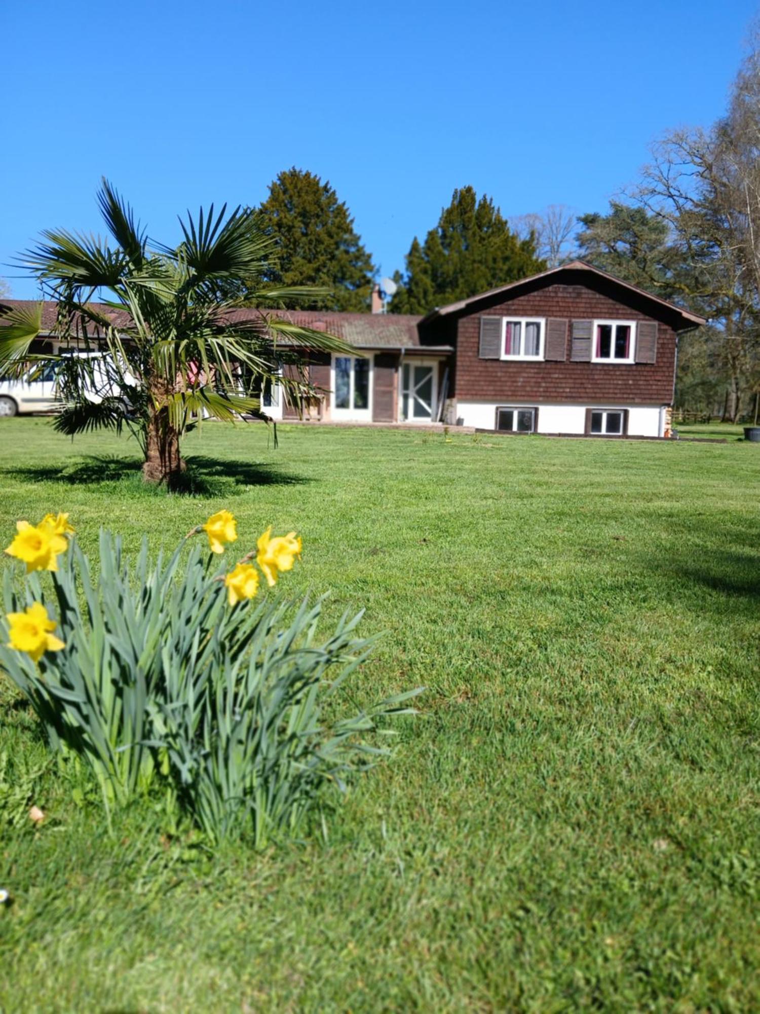 Bed and Breakfast Domaine Des Ifs Le Pin  Экстерьер фото