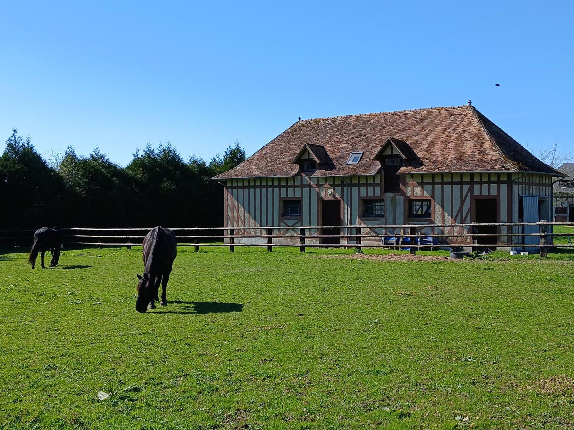 Bed and Breakfast Domaine Des Ifs Le Pin  Экстерьер фото